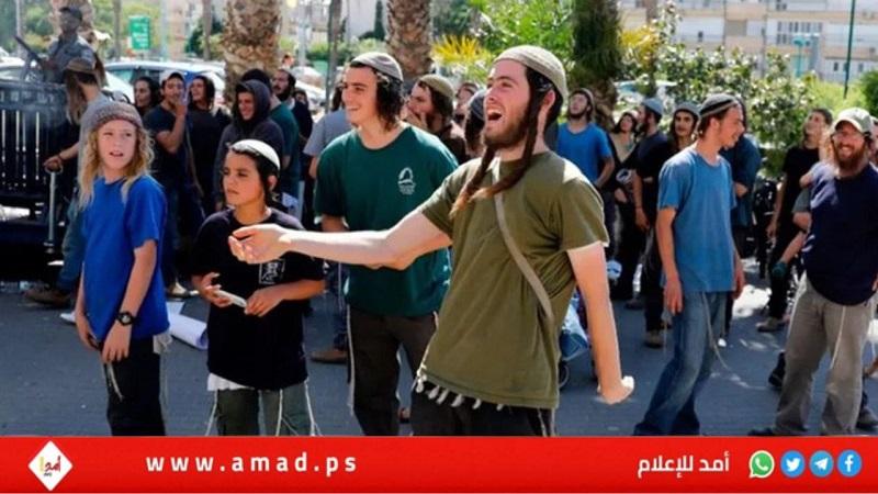 تقرير: إرهاب المستوطنين تحول لـ