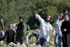 مستوطنون إرهابيون يواصلون انتهاكاتهم في مدن الضفة الغربية