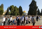 القدس: عشرات المستوطنين الإرهابيين يقتحمون "الأقصى"- فيديو
