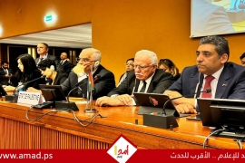 المالكي يقدم إحاطة في جنيف حول الأوضاع في الأرض الفلسطينية المحتلة