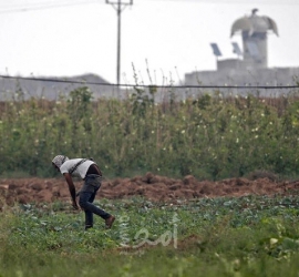 قوات الاحتلال تستهدف المزارعين شمال قطاع غزة