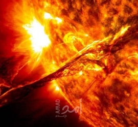 لقطات غير مسبوقة للشمس توثق ظاهرة "القنفذ الشمسي"..فيديو