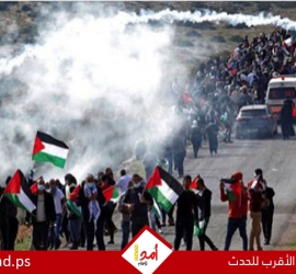 إصابتان برصاص قوات الاحتلال والعشرات بالاختناق خلال قمع مسيرة كفر قدوم