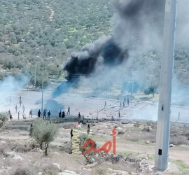 إصابات بالاختناق خلال اقتحام قوات الاحتلال مدينة طولكرم