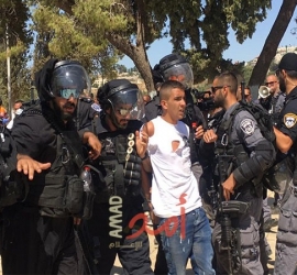  مركز فلسطين يرصد 270 حالة اعتقال من القدس خلال يناير