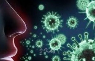 دراسة : السلالة البريطانية من فيروس كورونا أقل خطورة من المتوقع