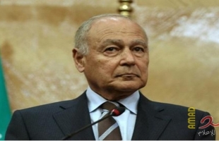 أمين جامعة الدول العربية يندد بالهجمات التركية في شمال العراق