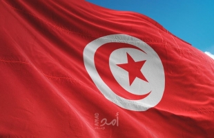 محلل يكشف أسباب إلغاء جلسة "إرهاب الإخوان" بتونس.. ونائب يعلق