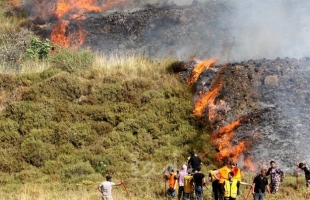 جيش الاحتلال يحرق 14 دونماً في المغير والمستوطنون يرشون الأراضي بالسموم