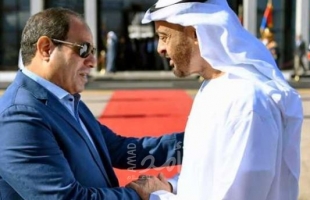 بن زايد مهاتفا السيسي: استعداد الإمارات لاستكشاف مسارات جديدة لتحقيق السلام