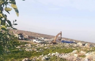 سلفيت: جيش الاحتلال يخلع مئات أشجار الزيتون غرب دير بلوط-صور