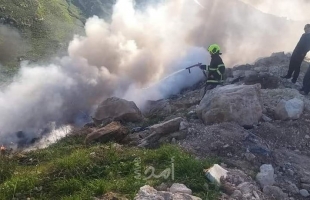 مستوطنون يحرقون 50 شجرة زيتون في الشيوخ شمال الخليل