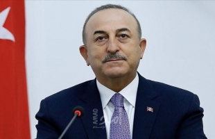 وزير الخارجية التركي يفصح عن مشروع بيان مشترك بين روسيا وأوكرانيا