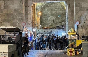 اندلاع مواجهات بين شبان وقوات الاحتلال في باب العامود في القدس المحتلة - فيديو