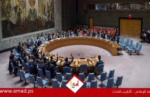 إجماع في مجلس الأمن على ضرورة إجراء تحقيق شفاف في استشهاد شيرين أبو عاقلة