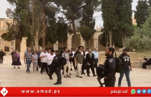 عشرات المستوطنين الإرهابيين يقتحمون "الأقصى" بحماية شرطة الاحتلال