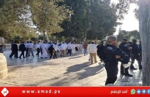 القدس: عشرات المستوطنين الإرهابيين يقتحمون "المسجد الأقصى"