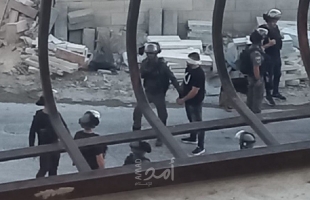 قوات الاحتلال تعتقل شاب ويعيق حركة المواطنين في جنين