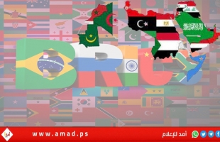 بلومبيرغ: دول عربية بينها مصر والسعودية تستعد للانضمام إلى تكتل "بريكس"
