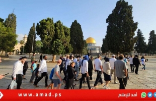 القدس: عشرات المستوطنين الإرهابيين يقتحمون المسجد الأقصى‎‎‎‎