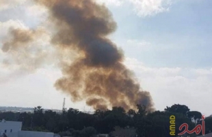 اندلاع النيران في أحراش "كيسوفيم" جنوب قطاع غزة