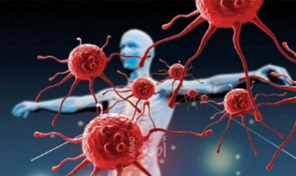 بحث جديد يكشف فوائد مكملات الزنجبيل لعلاج أمراض المناعة