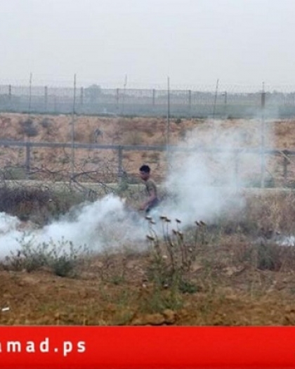 قوات الاحتلال تطلق "قنابل الغاز" تجاه رعاة الأغنام شرق خانيونس