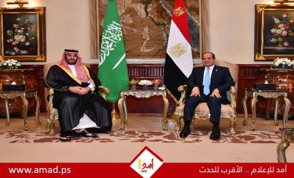أمن البحر الأحمر في قلب المشاورات المصرية السعودية عقب زيارة ولي العهد للقاهرة