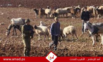 جيش الاحتلال يحذر نتنياهو من خروج الضفة عن السيطرة بسبب عنف المستوطنين